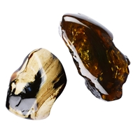 One side polished piece of Amber (Sumatra), 8,0cm (15 pcs./VE)