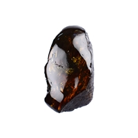 One side polished piece Amber (Sumatra), 6,0 - 7,5cm (20 pcs./VE)