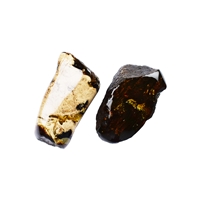 One side polished piece Amber (Sumatra), 6,0 - 7,5cm (20 pcs./VE)