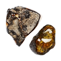 One side polished piece Amber (Sumatra), 9,0 - 10,0cm (9 pcs./VE)