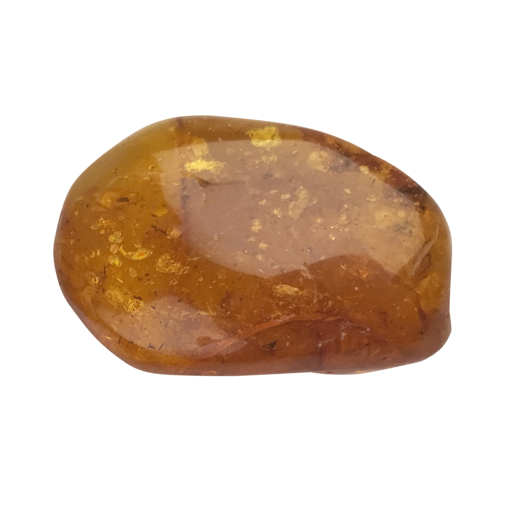 Pietra burattata d'ambra, 3,0 cm, con incluso