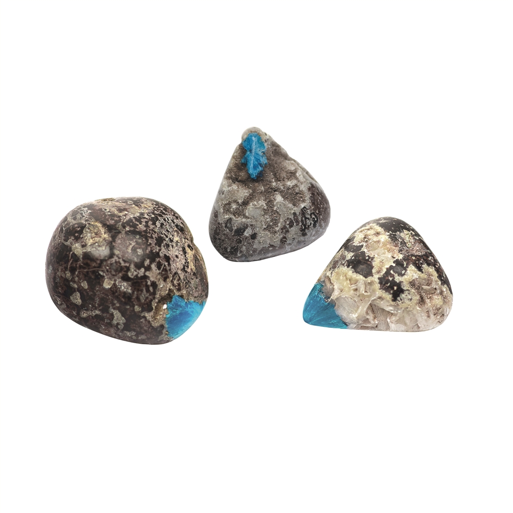 Tumbled Stones Cavansite in Matrix (3 pcs./VE)