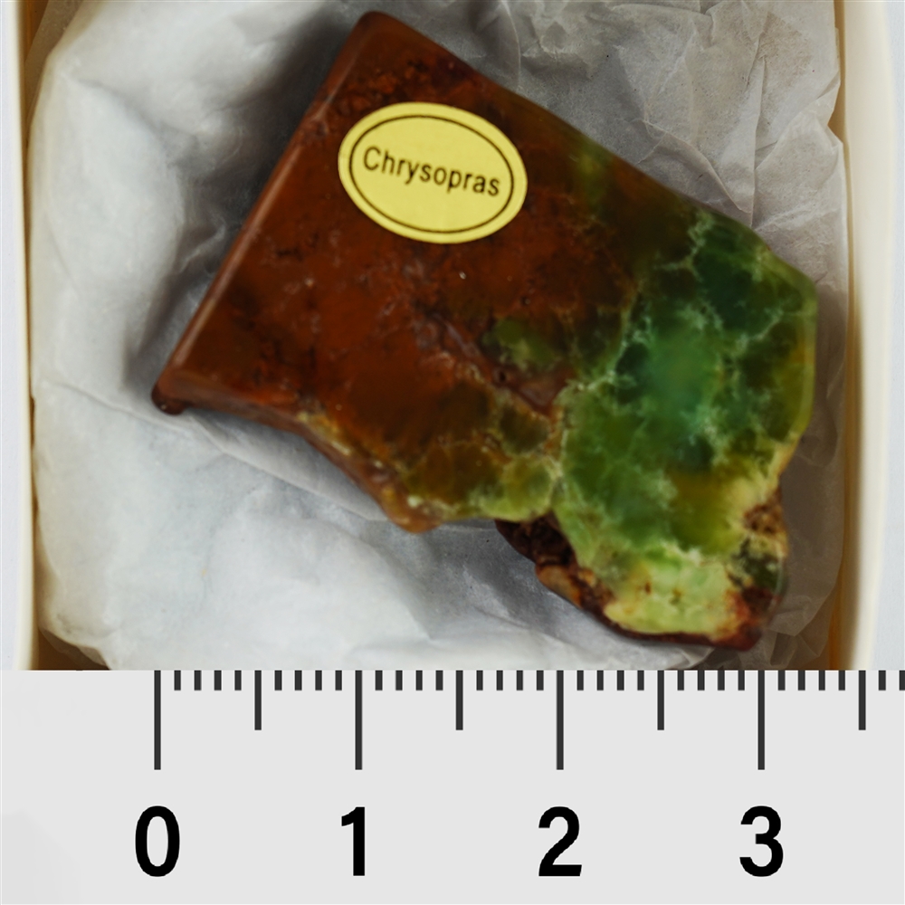 One side polished piece Chrysoprase, 03 - 05cm (35 pcs./VE)