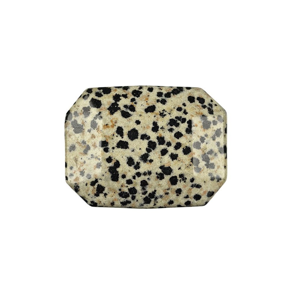 Flatstone angular Dalmatian Stone