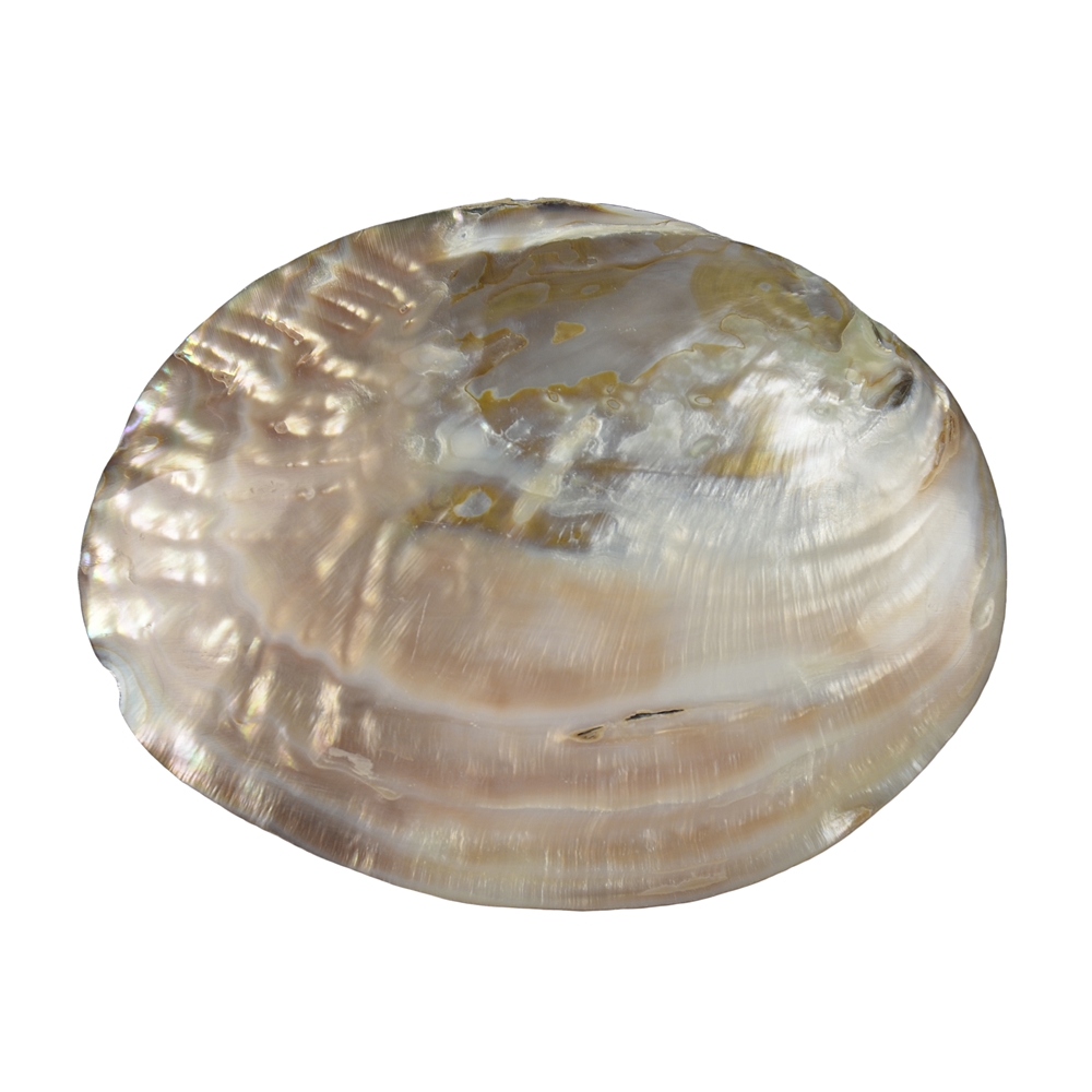 Mother of Pearl (freshwater) bowl, 13cm