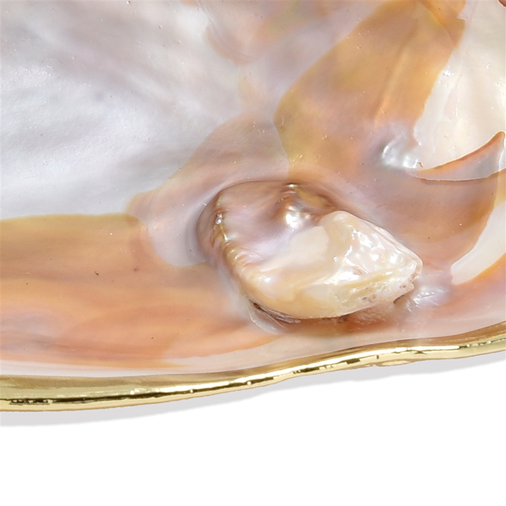Muschelschale Perlmutt (weiß), 12 x 10cm, Goldrand | Marco Schreier