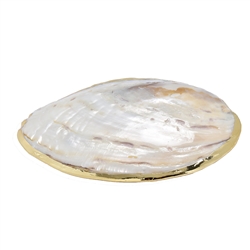 0517509005 Muschelschale Perlmutt (weiß), 12 x 10cm, Goldrand | Marco Schreier