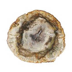 0518705005 Disque Bois silicofié, 10 - 15cm | Marco Schreier