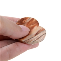 Touch Heart Petrified Wood with Pouch Inserts