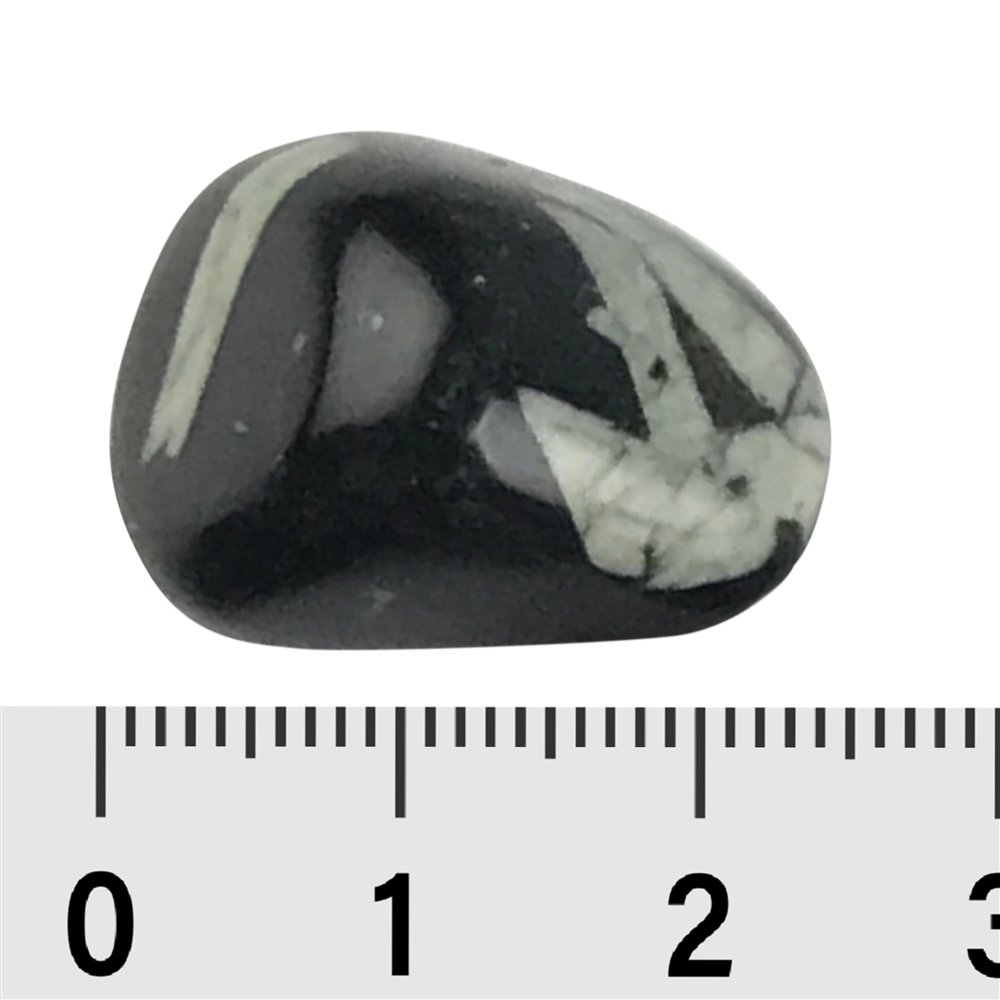 Piedras rodadas Piedra crisantemo, 1,5 - 2,5cm (100g/VE)