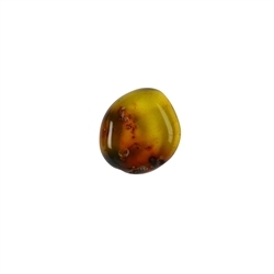 0530960002 Cabochon Kopal (Indonesien), 1,9 - 2,1cm | GH Edelsteine, Heilsteine & Schmuck