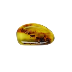 0530960004 Cabochon Kopal (Indonesien), 2,5 - 3,0cm | GH Edelsteine, Heilsteine & Schmuck