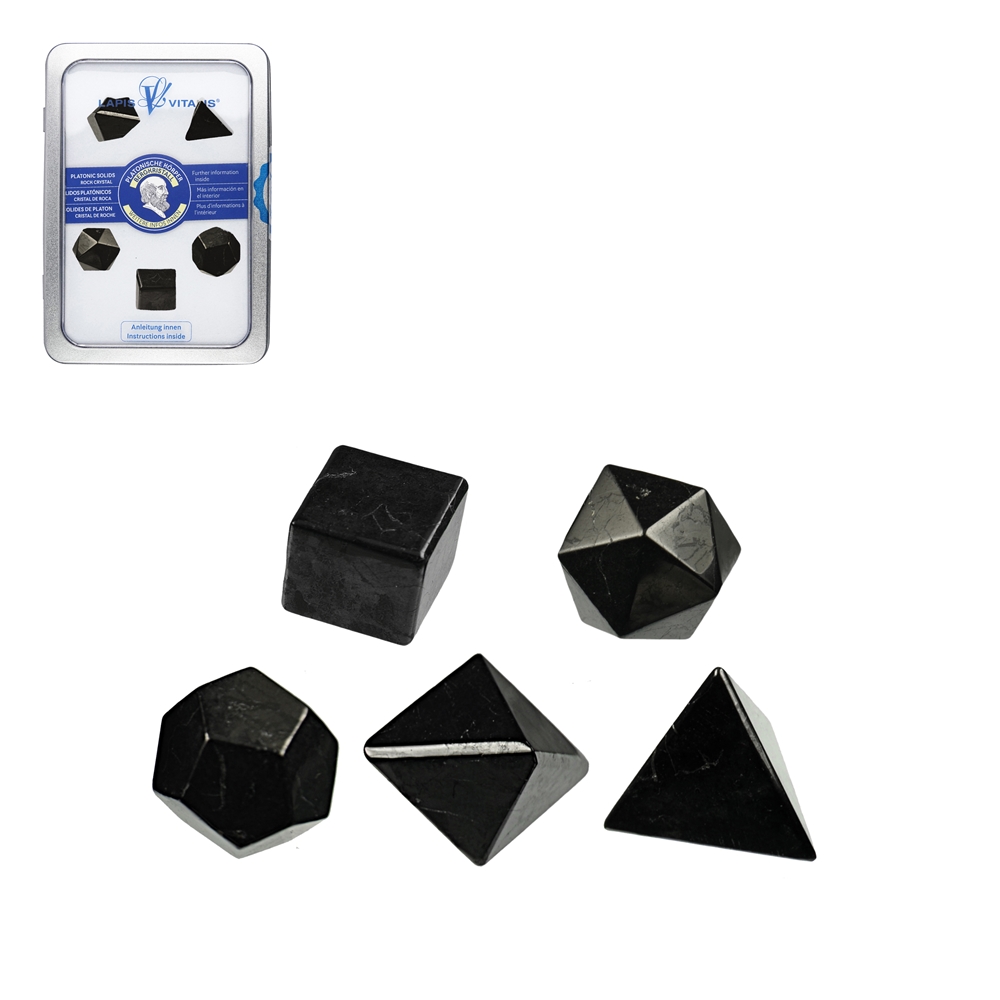 Platonic Solids Schungite, 2cm (small), gift box