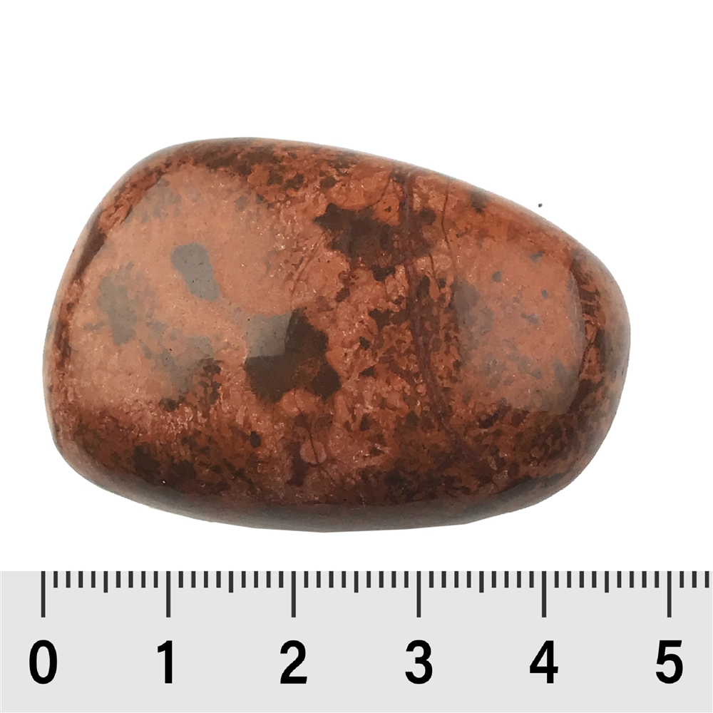 Pierre roulée en rhyolite étoilée (jaspe étoilé), 4,5 - 5,0cm (35 pcs/unité)