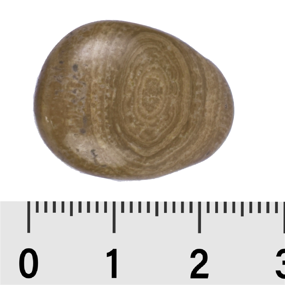 Piedras rodadas aragonito (Eichenberg), 2,3 -2,8cm (100g/VE)