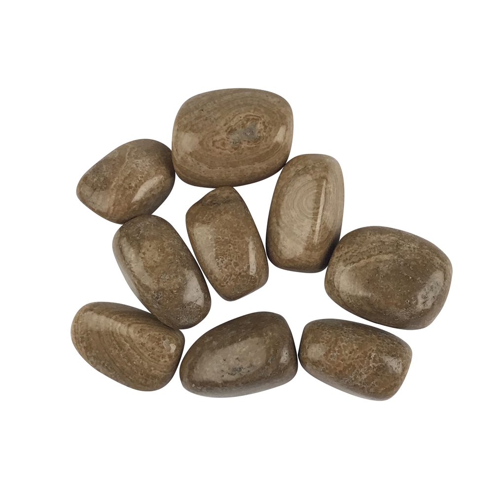 Piedras rodadas aragonito (Eichenberg), 2,3 -2,8cm (100g/VE)