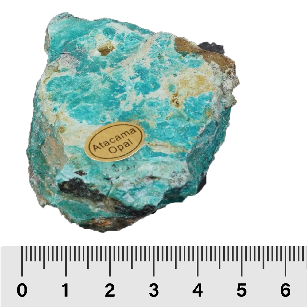 Anschliffe Atacama-Opal, 04 - 05cm (35 St./VE)