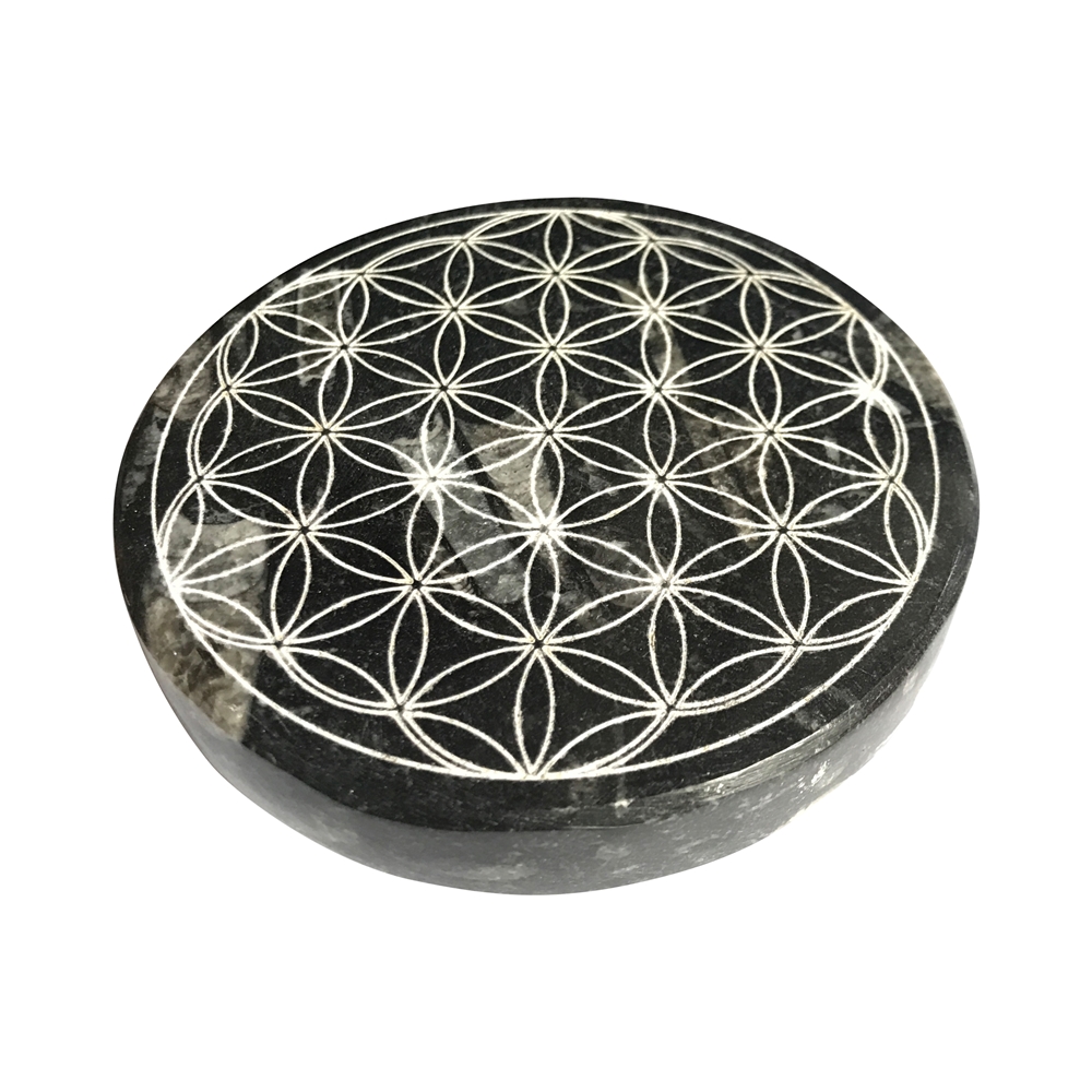 Disc Orthoceras "Flower of Life", 10cm