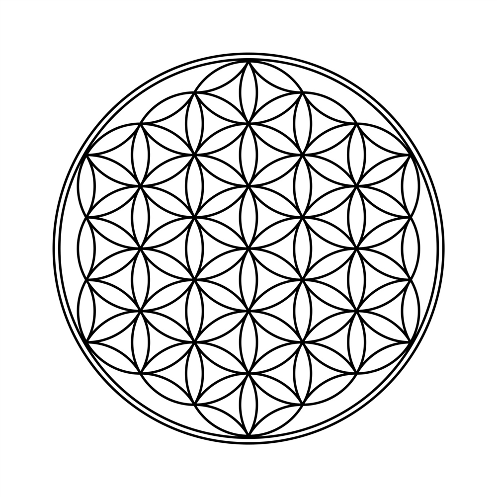 Disc Orthoceras "Flower of Life", 10cm