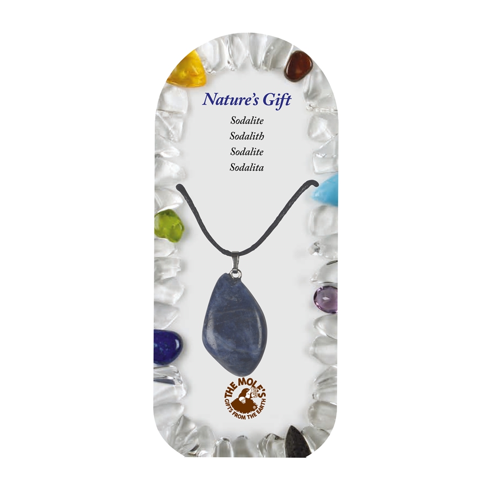 0614622033 Pendentif en pierres roulées avec oeillet, Sodalite, pour support au sol