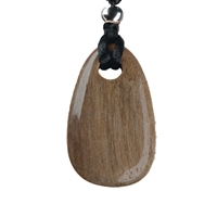 Power stone pendant Petrified Wood (grounding)