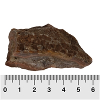 Dekosteine Achat, 05 - 07cm (groß)