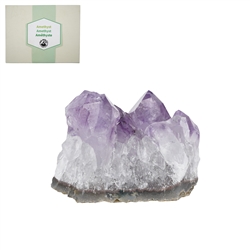 0901202000 Mini-Flat Stufen Amethyst, 3,0 - 5,0cm (12 - 15 St./VE) | Marco Schreier
