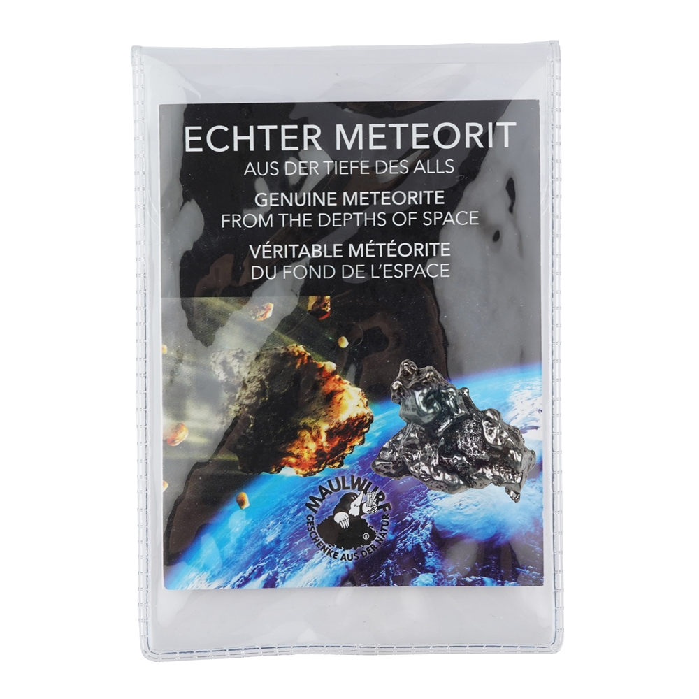 Meteorit 02-03 Gramm mit Zertifikatskarte in Pouch