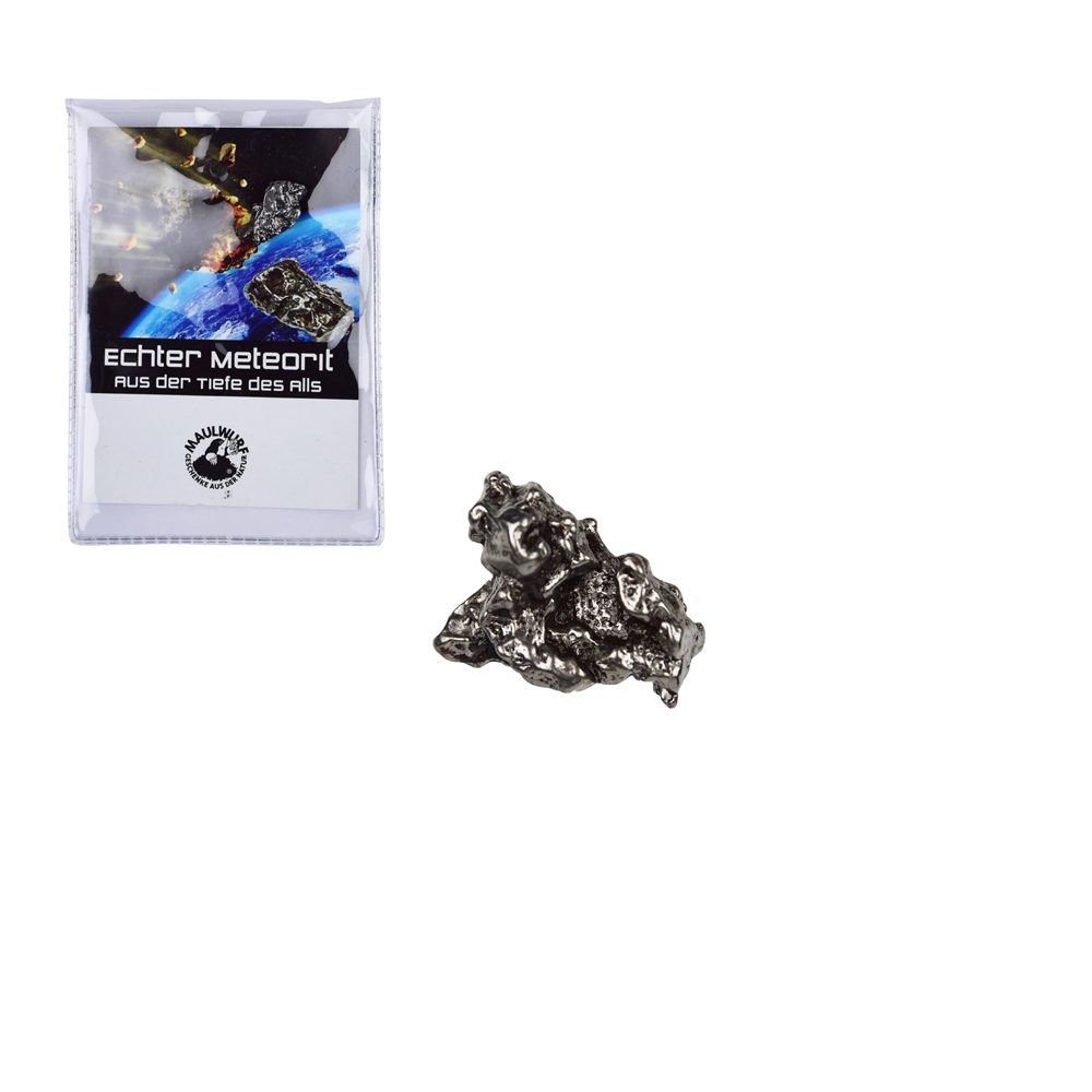 Meteorite 03-05 gram with certificate card in pouch
