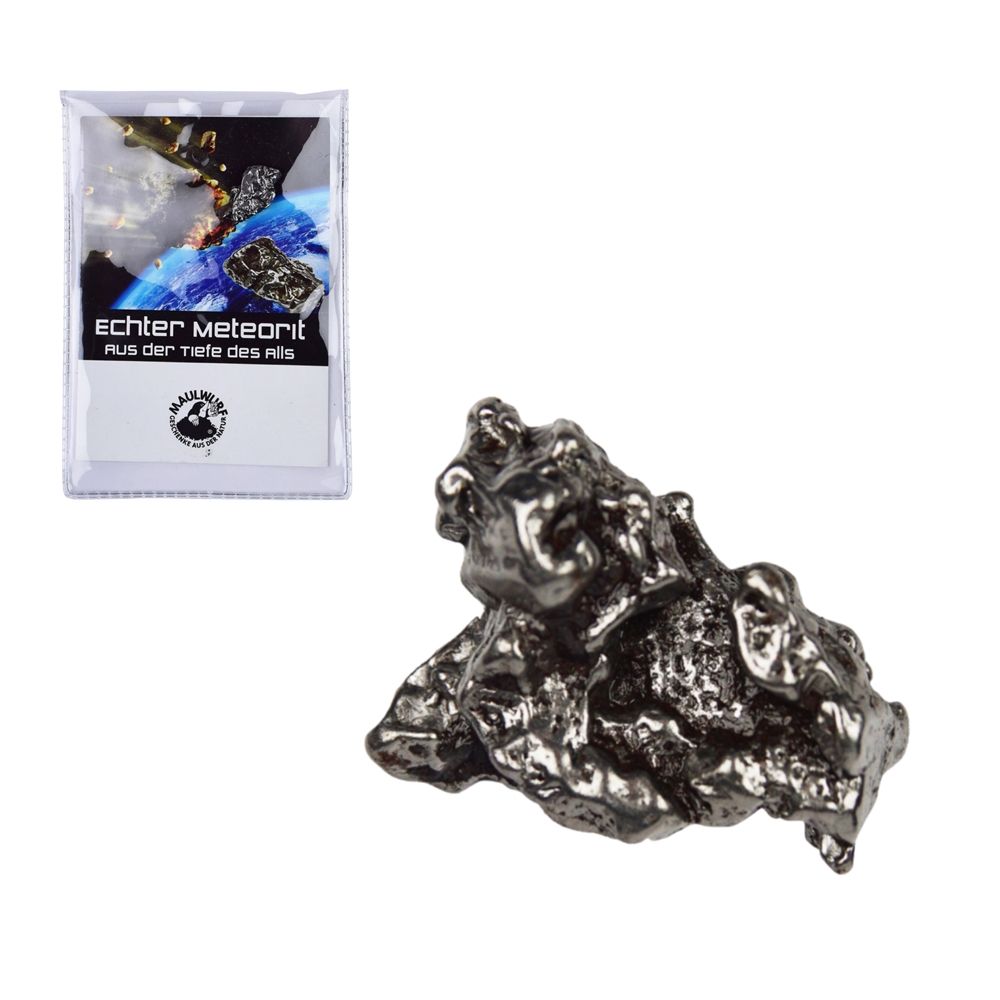 Meteorite 45-55g with certificate card in pouch