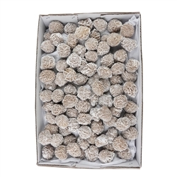 09075101 Desert Roses, frosted (9kg /VE) | wholesaler gems, healing stones & jewelry