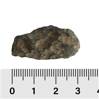 Tektite with enclosure in pouch