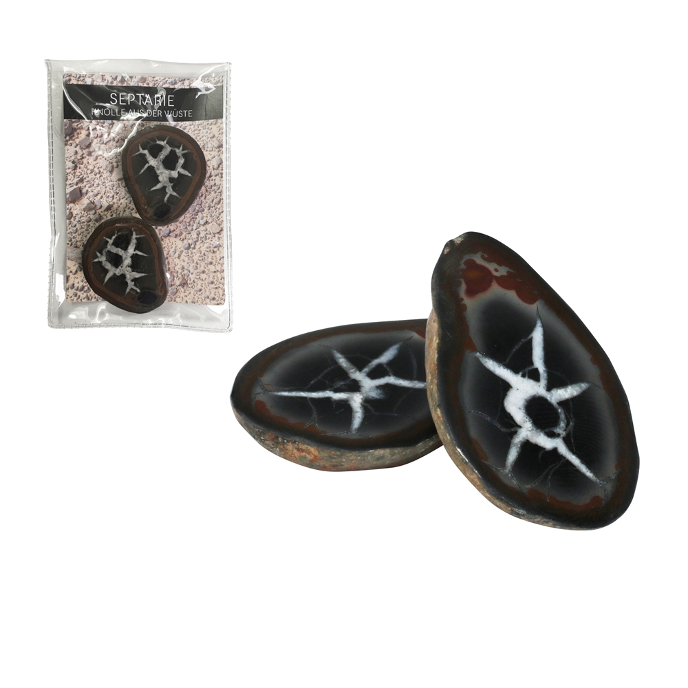 Septarian 4,0-5,0cm (medium) with certificate card in pouch