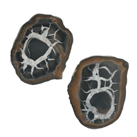 Septarian 5,0-7,0cm (large) with certificate card in pouch