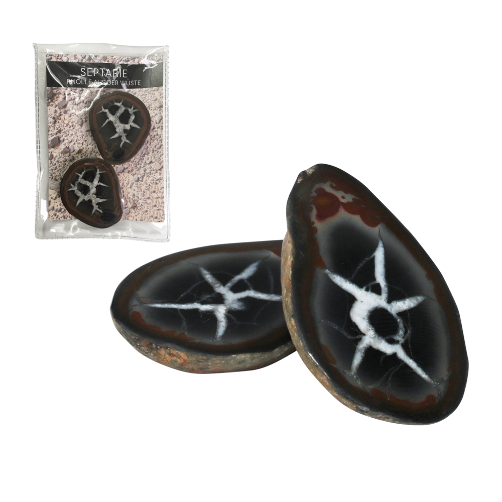 Septarian 5,0-7,0cm (large) with certificate card in pouch