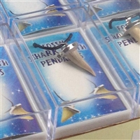 Cardboard display "Pendant shark teeth" large (18 tins)