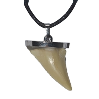 Cardboard display "Shark teeth pendant" small (90 cans)