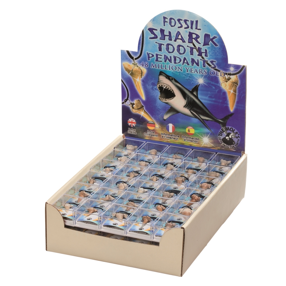 Présentoir en carton "Pendentif dents de requin" petit (90 boîtes)
