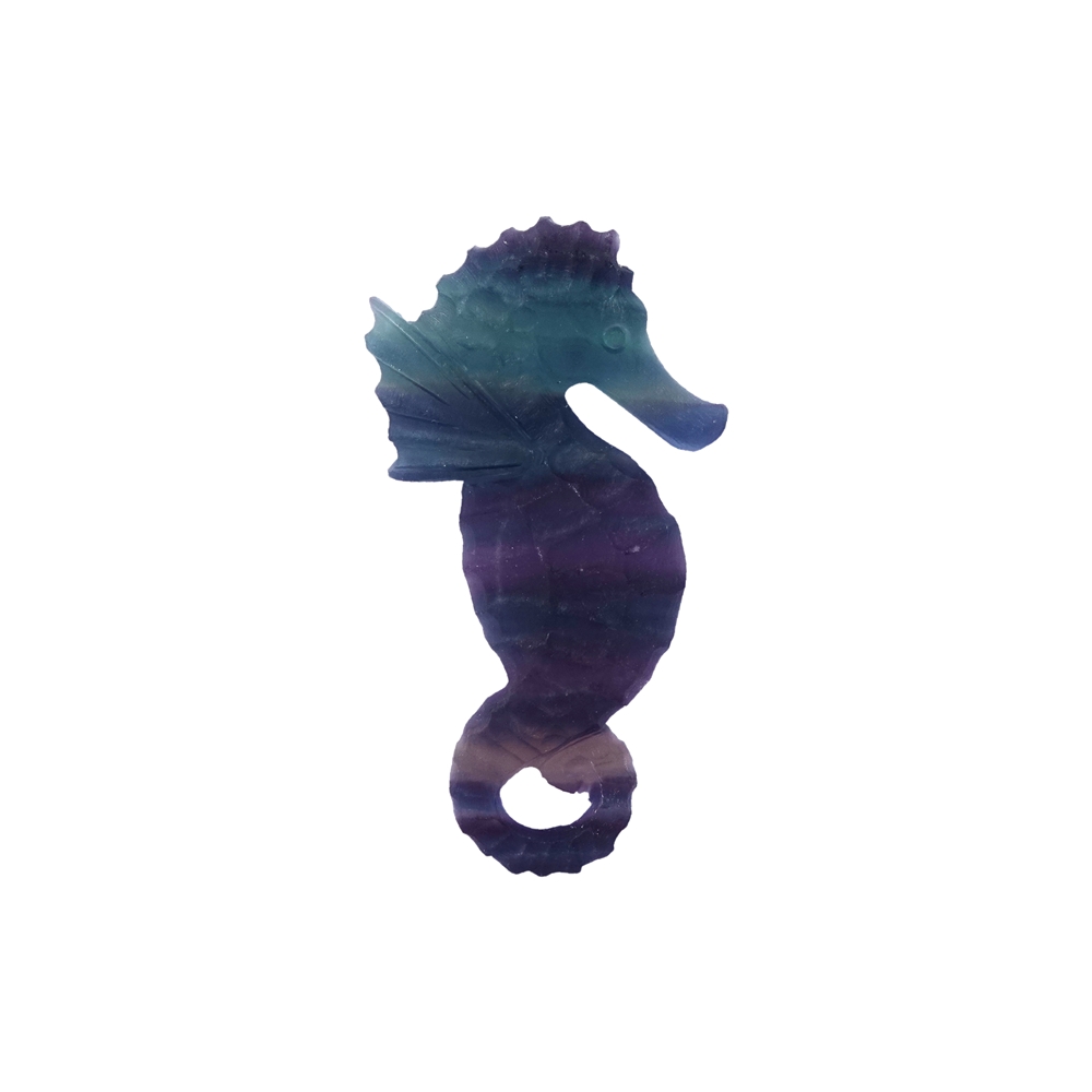 Engraved seahorse, fluorite (matt), 10cm