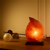 Lampe de sel "Feuille" avec socle en bois 22cm/3,7kg