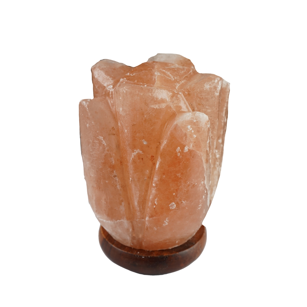 Lampe de sel avec socle en bois "Fleur", basse, 17cm
