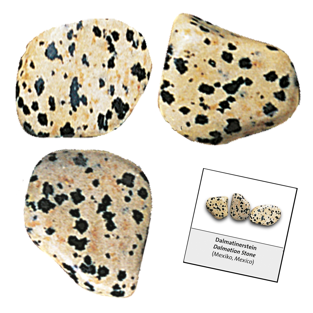 Confezione di ricarica di pietre burattate e adesivi Pietra Dalmata (24 pz./VE)