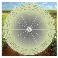Moss Agate "Liberation" pendulum