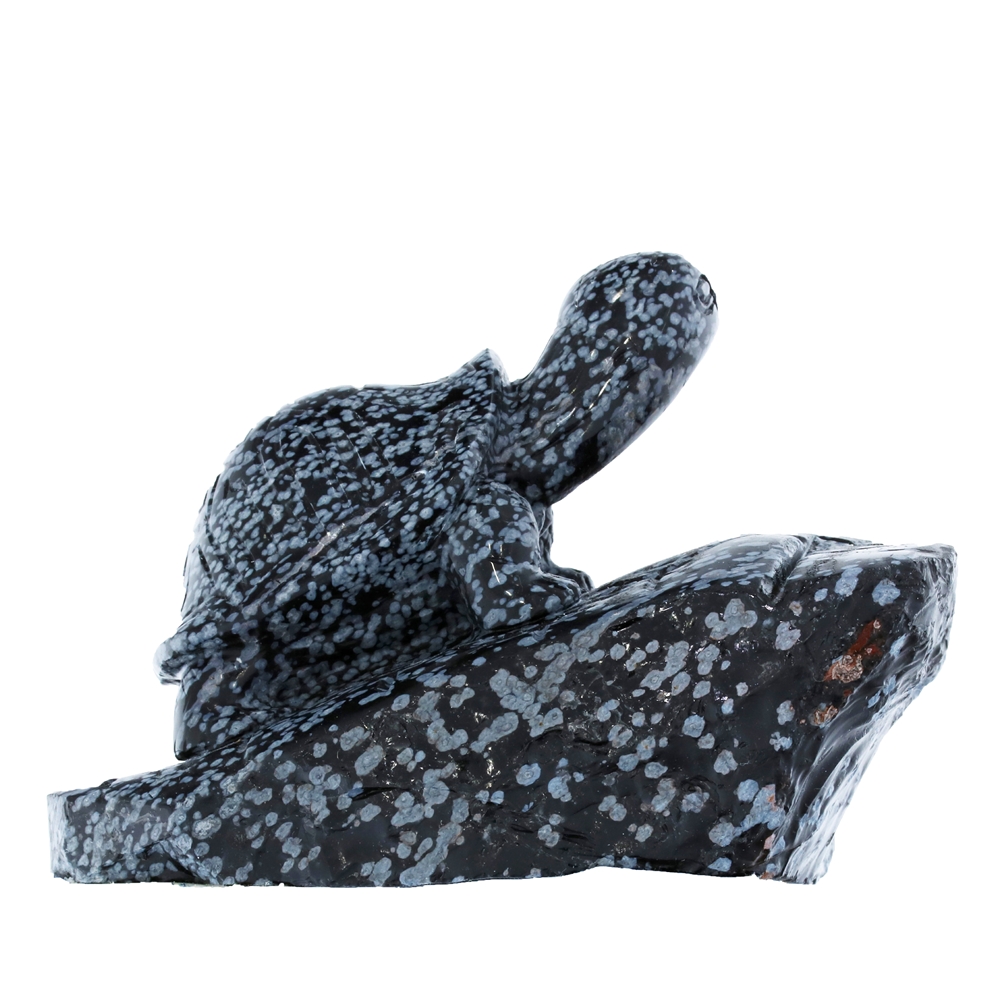 Tortue sur rocher Obsidienne (flocons de neige), 10cm
