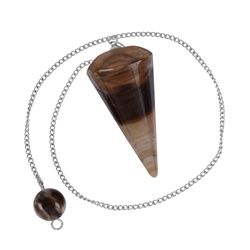 1018703003 Petrified Wood Pendulum "Down to earth" | wholesaler gems & healing stones