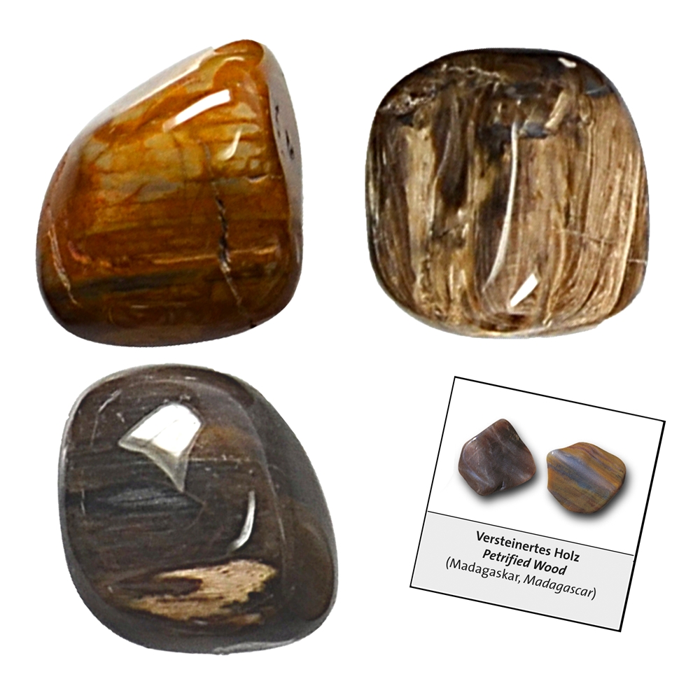 Confezione di ricarica di pietre burattate e adesivi in legno pietrificato (24 pezzi/confezione)