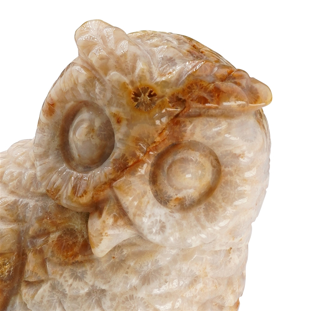Gravur Eule versteinerte Koralle, 9,5cm | GH Edelsteine, Heilsteine & Schmuck