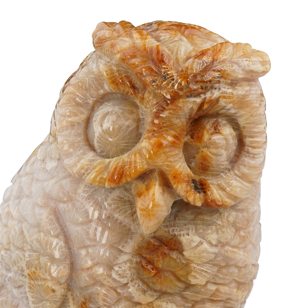 Engraving Owl Petrified Coral, 11,5cm