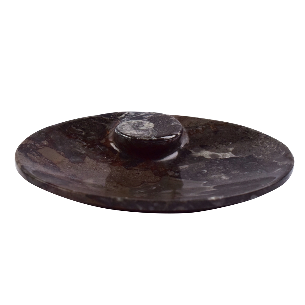 Bowl goniatite oval, 11 x 9cm