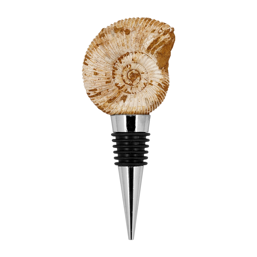 Flaschen-Verschluss Ammonit (Perisphinctes)